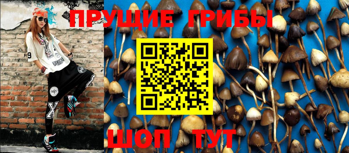 Псилоцибиновые грибы MAGIC MUSHROOMS Каменск-Уральский