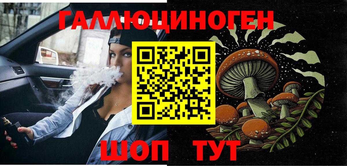 как найти закладки  Вход с VPN  Каменск-Уральский  Галлюциногенные грибы мухоморы 